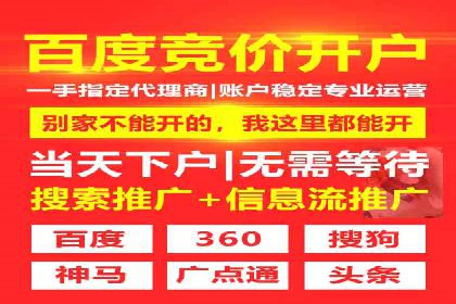 百度竞价代理操作手册：成功案例分析